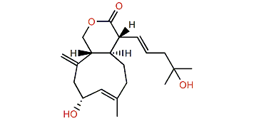 Dihydroxeniolide A